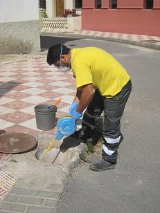 La Concejala de medio ambiente pone en marcha un plan de desinfeccin para evitar 
las plagas en el municipio